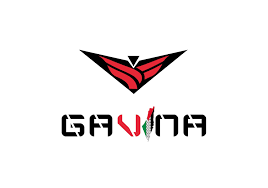 Gavina